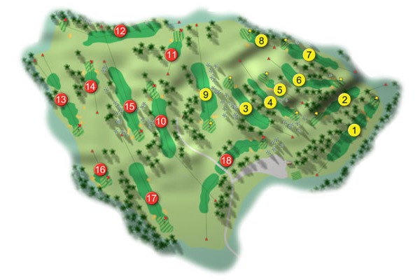 Course Layout