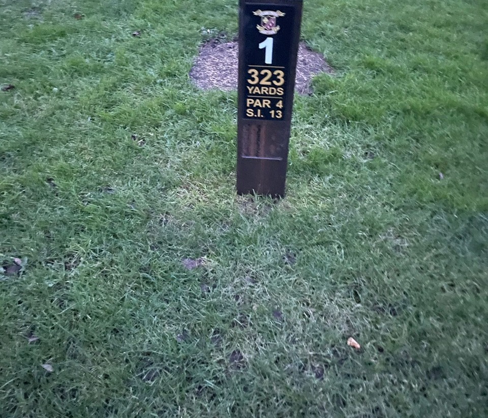 New Tee Markers