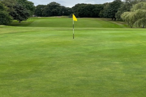 The 2nd / 11th green