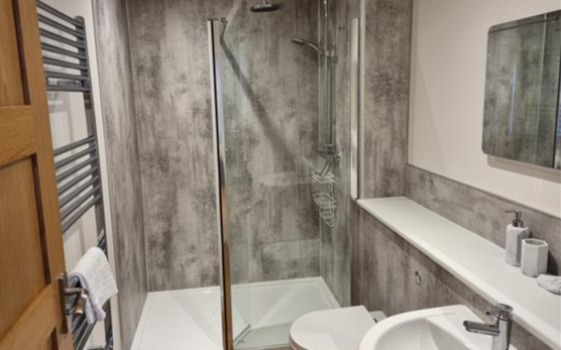 Contemporary shower room 