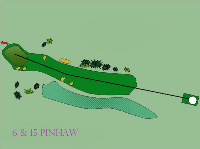Hole 6 and 15 - Pinhaw